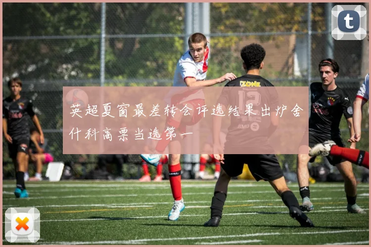 英超夏窗最差转会评选结果出炉舍什科高票当选第一