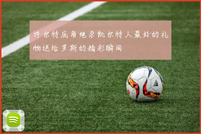 许尔特底角绝杀凯尔特人最好的礼物送给罗斯的精彩瞬间