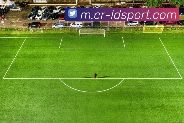 乐动足球服务体系