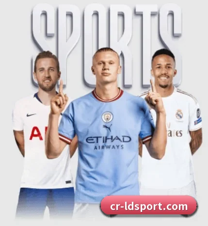 从比分速递到赛后复盘的完整链路 - LDSPORTS